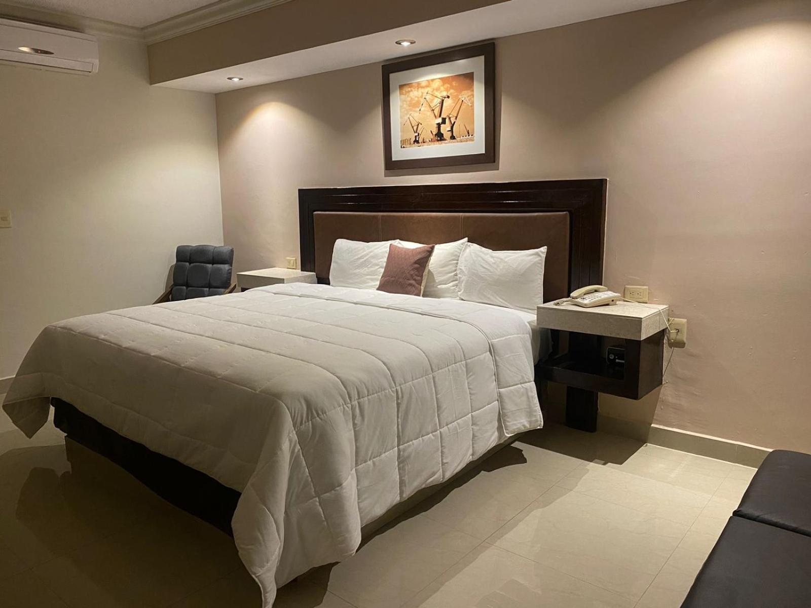 Hotel San Ignacio Inn 托雷翁 外观 照片
