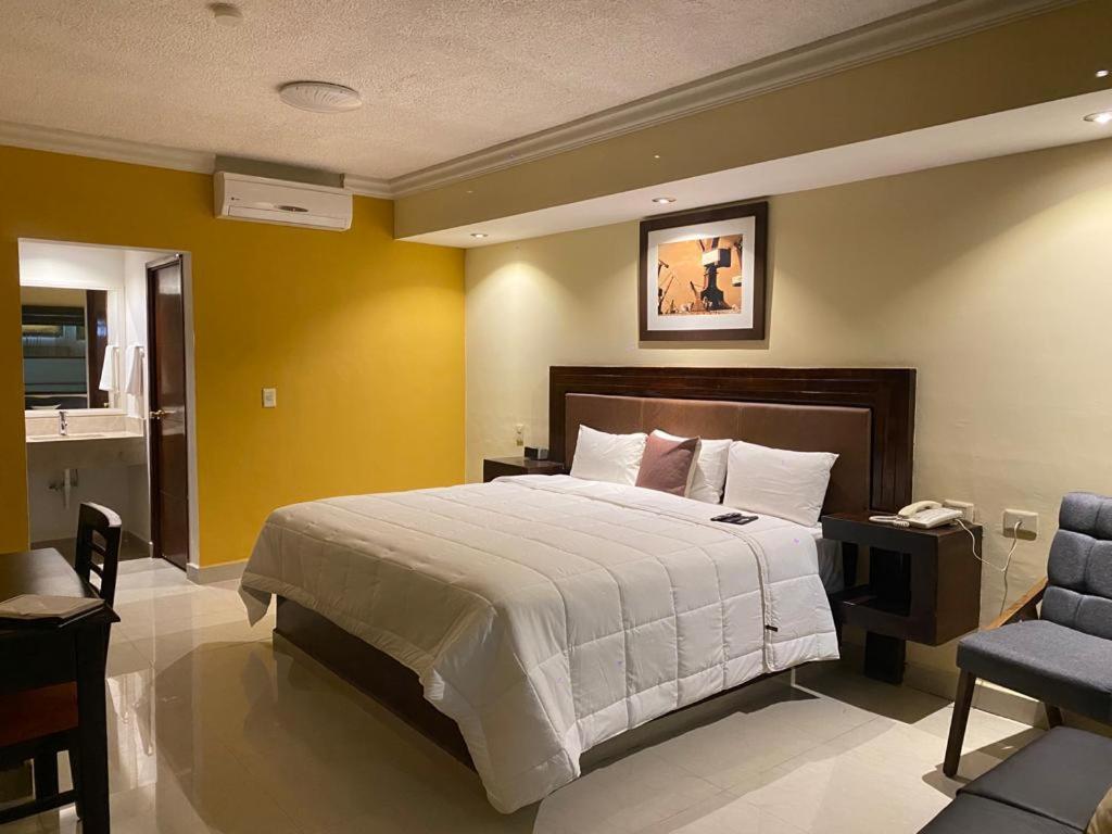 Hotel San Ignacio Inn 托雷翁 外观 照片