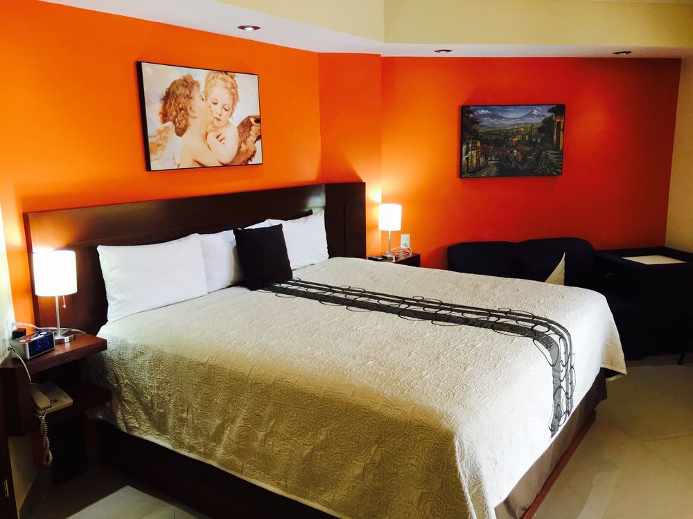 Hotel San Ignacio Inn 托雷翁 外观 照片