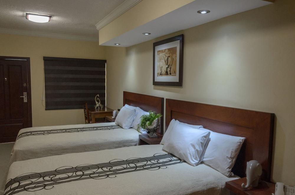 Hotel San Ignacio Inn 托雷翁 外观 照片